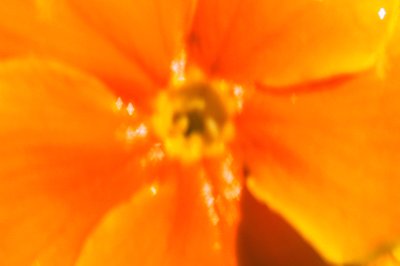 Soleil d
